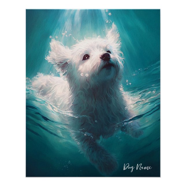 Maltese dog swimming in water 003 poster (Vorderseite)