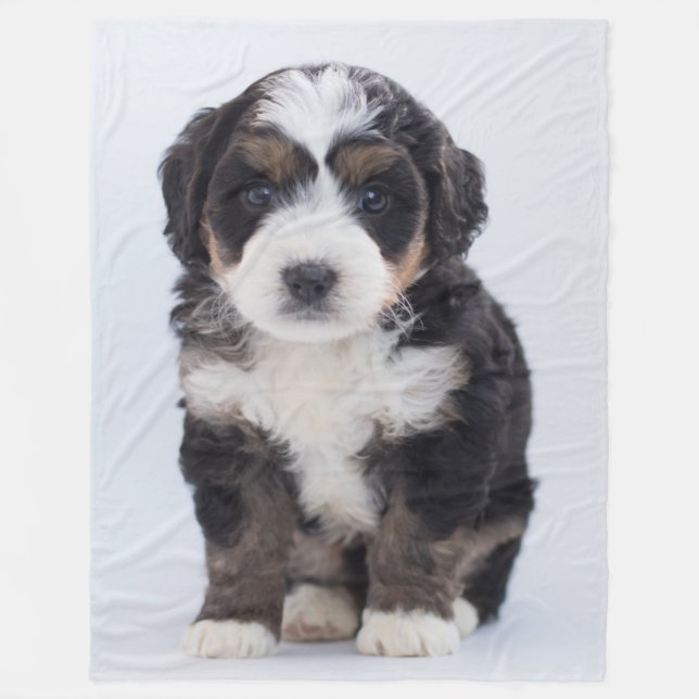 MALTESE PUPPY FLEECEDECKE (Vorderseite)