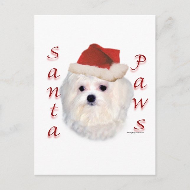Maltese Santa Paws Feiertagspostkarte (Vorderseite)