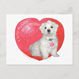 Maltese Valentine's Day Feiertagspostkarte