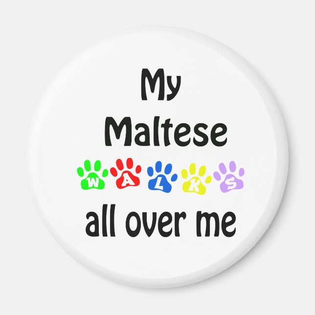 Maltese Walks Design Magnet (Vorne)