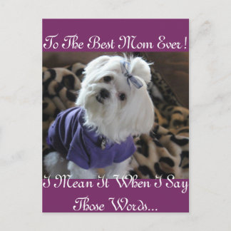 Malteser Geschenke Postkarte