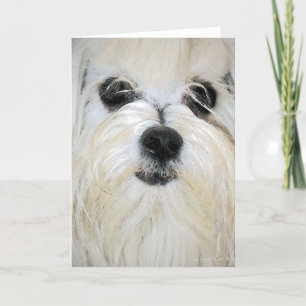 Malteser Grußkarte Karte