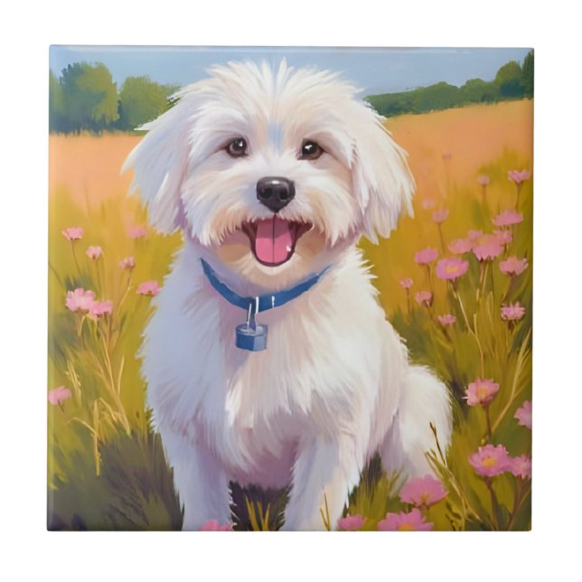 Malteser-Hund-Blumenfeld-Malerei Fliese (Vorderseite)