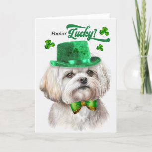Malteser Hund Feelin' Lucky St Patrick's Day Feiertagskarte