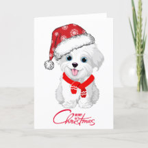 Malteser Hund Frohe Weihnachten geklappte Weihnach