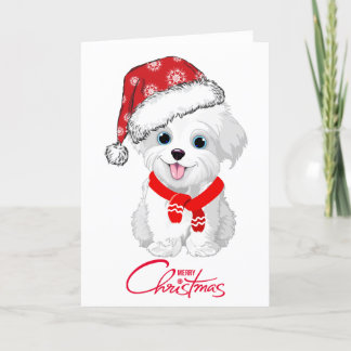 Malteser Hund Frohe Weihnachten geklappte Weihnach