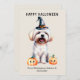 Malteser Hund Happy Halloween Feiertagskarte (Vorne/Hinten)