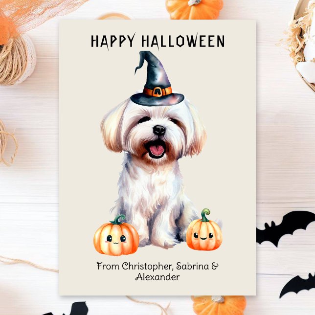 Malteser Hund Happy Halloween Feiertagskarte (Von Creator hochgeladen)