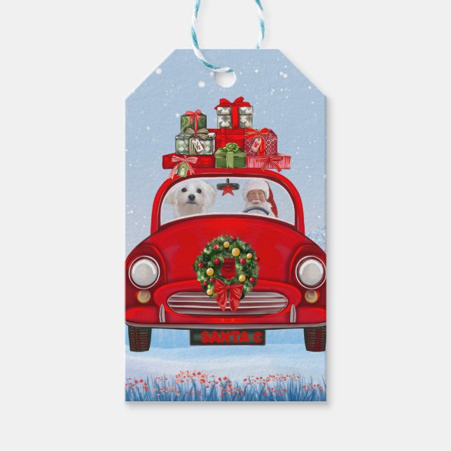 Malteser Hund im Auto mit dem Weihnachtsmann Geschenkanhänger (Vorderseite)
