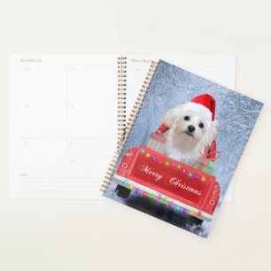 Malteser Hund im Schnee sitzend im Weihnachtswagen Planer