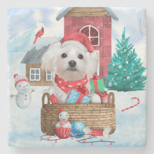 Malteser Hund im Schnee Weihnachtshaus Steinuntersetzer