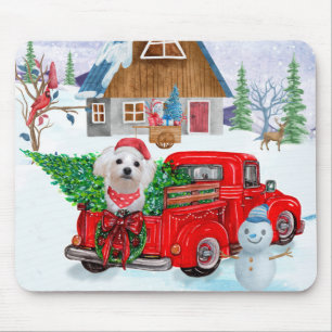 Malteser Hund in Weihnachten Lkw Schnee Mousepad