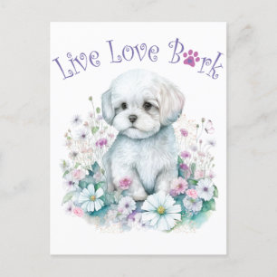 Malteser Hund Mama Floral Postkarte