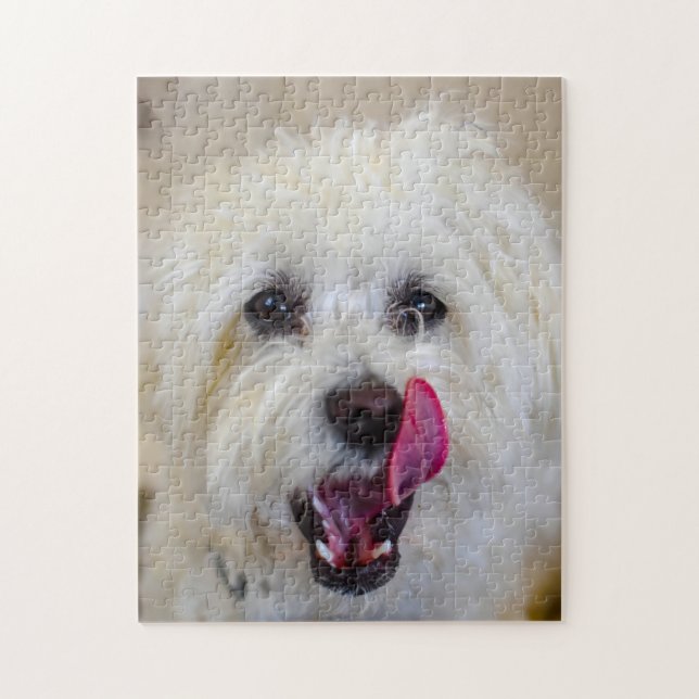 Malteser-Hund. Puzzle (Vertikal)