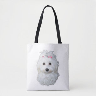 Malteser Hund Schönheit Rosa Bow Perfektion