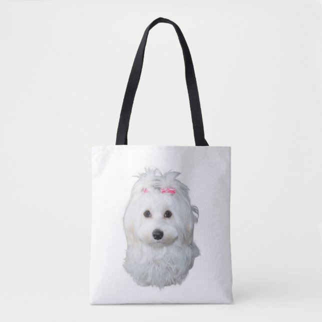 Malteser Hund Schönheit Rosa Bow Perfektion (Vorderseite)