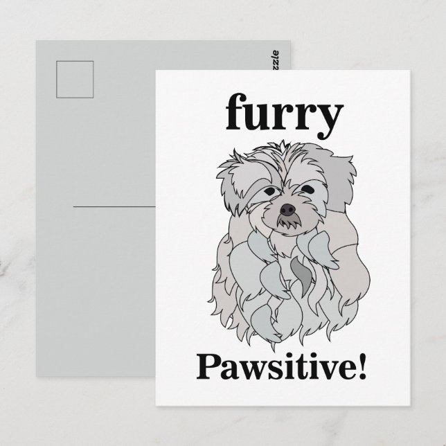 Malteser Hund Tier Pet Funny Postkarte (Vorne/Hinten)