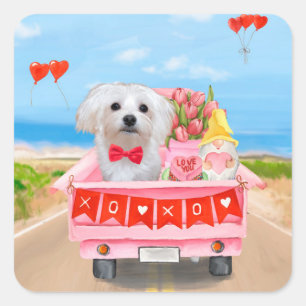 Malteser-Hund Valentinstag LKW Quadratischer Aufkleber