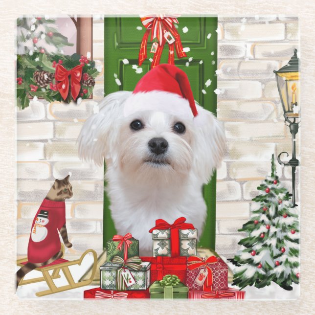 Malteser Hund Weihnachten Glasuntersetzer (Vorderseite)
