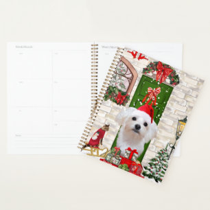 Malteser Hund Weihnachten Planer