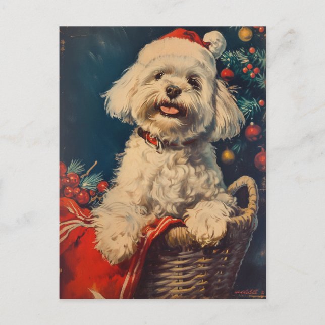 Malteser Hund Weihnachten Postkarte (Vorderseite)