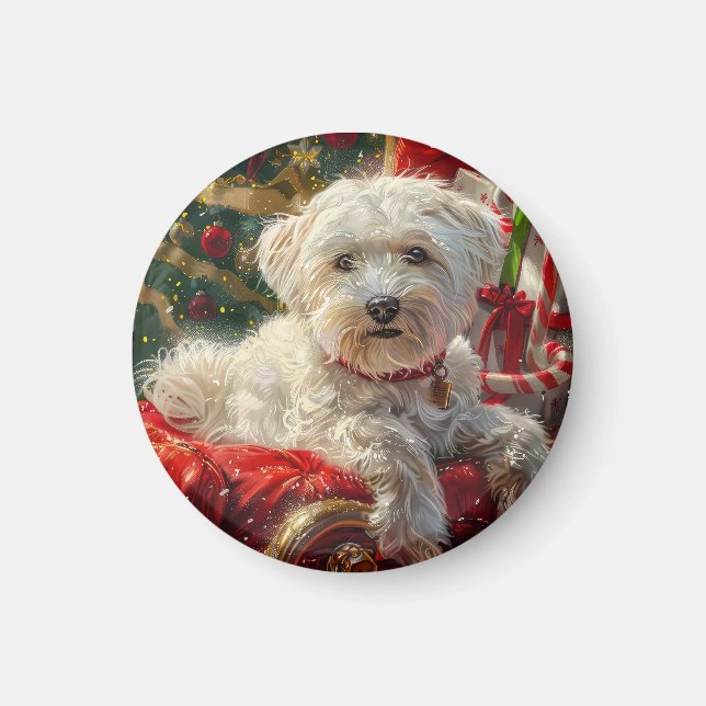 Malteser Hund Weihnachtsfest Magnet (Vorne)