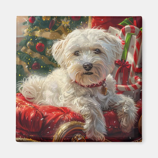 Malteser Hund Weihnachtsfest Magnet (Vorne)