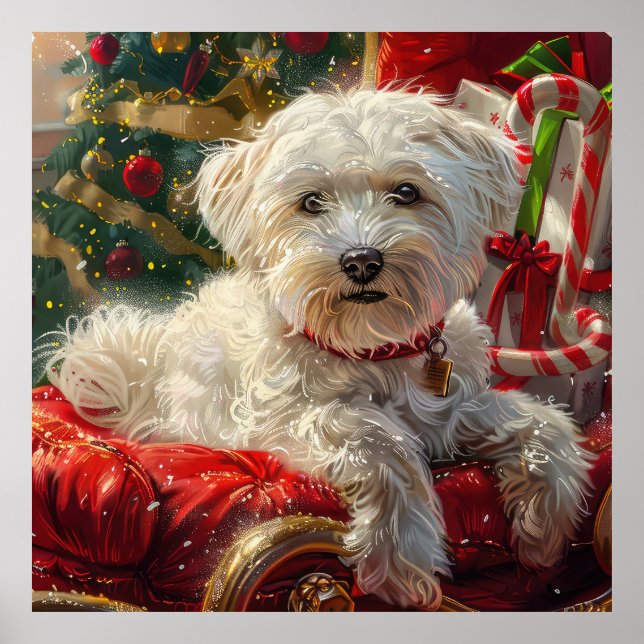 Malteser Hund Weihnachtsfest Poster (Vorne)