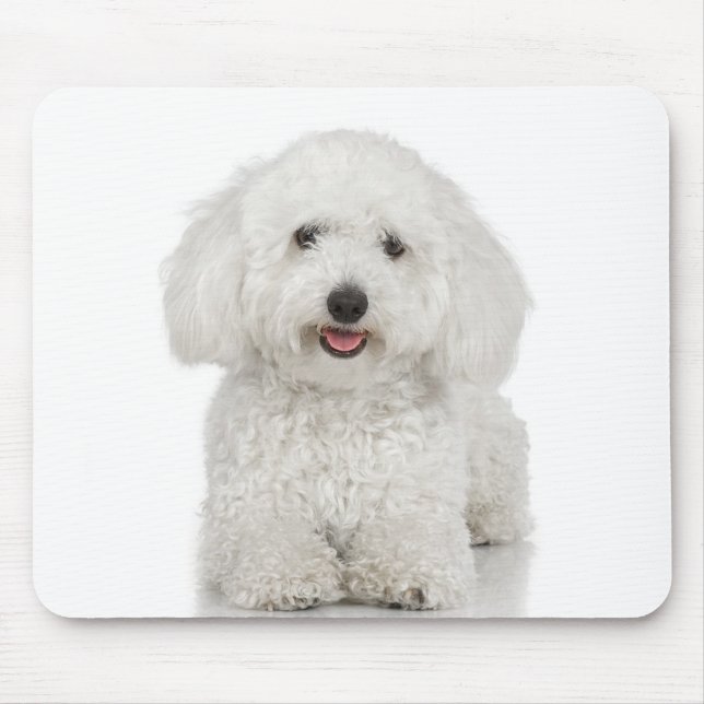 Malteser Hund White Mousepad (Vorne)