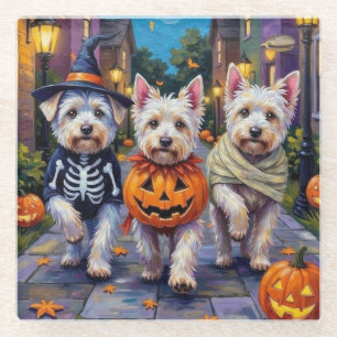 Malteser-Hunde beim Trick-or-Treat in Halloween-Ko Glasuntersetzer