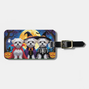 Malteser Hunde Pumpkin Halloween Funny Gepäckanhänger