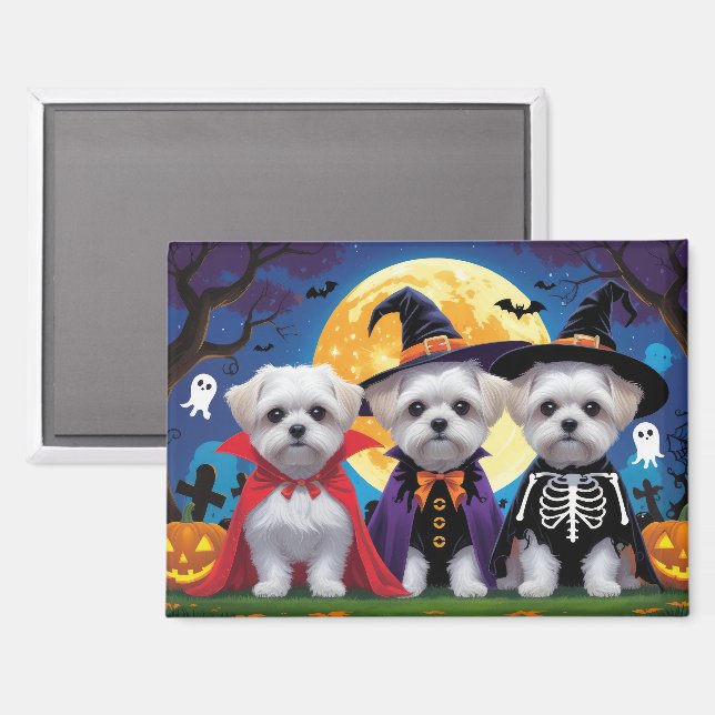 Malteser Hunde Pumpkin Halloween Funny Magnet (Vorderseite/Rückseite)