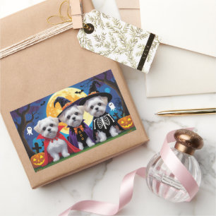 Malteser Hunde Pumpkin Halloween Funny Rechteckiger Aufkleber