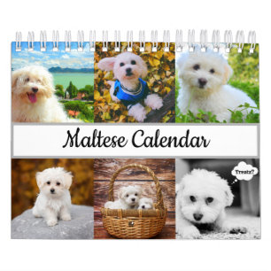 Malteser Kalender