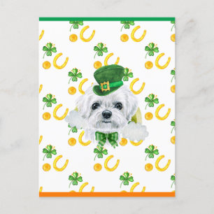 Malteser-Kleeblatt St. Patricks Tag Feiertagspostkarte