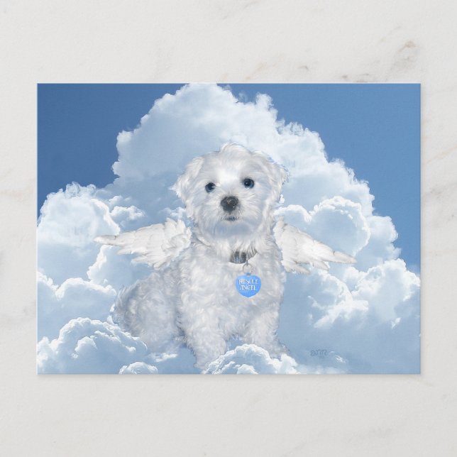 Malteser Rettungsanker Postkarte (Vorderseite)