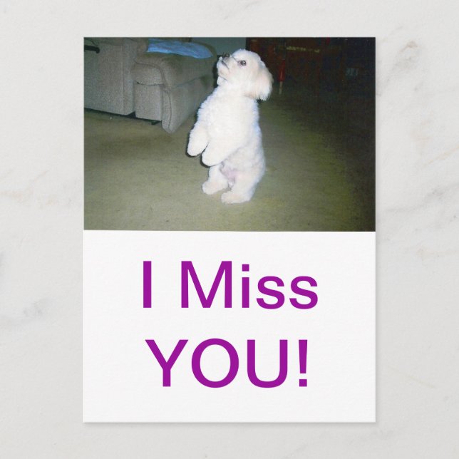 Malteser Sitzplatz Postkarte (Vorderseite)