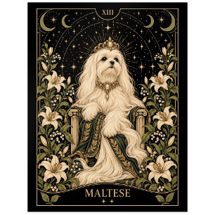 Malteser, Sternen-Tarot-Kunst Postkarte