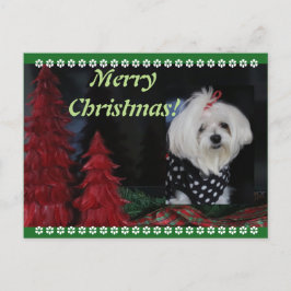 Malteser Weihnachten