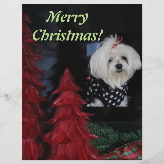 Malteser Weihnachten Briefbogen (Vorderseite)