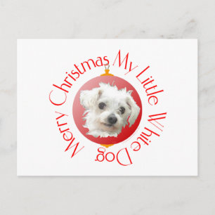 Malteser-Weihnachten Kleiner Weißer Hund Feiertagspostkarte