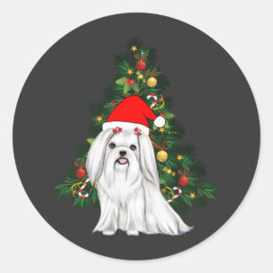 Malteser Weihnachten, maltesischer Hund mit Weihna Runder Aufkleber