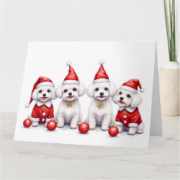 Malteser-Weihnachtskleid Santa-Hut
