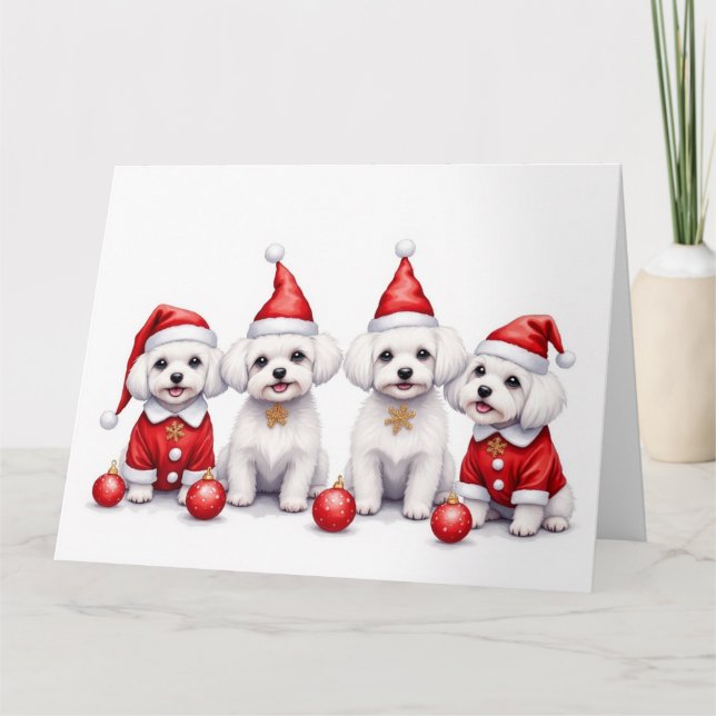 Malteser-Weihnachtskleid Santa-Hut Karte (Vorderseite)