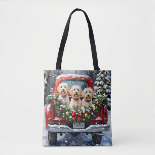 Malteser-Weihnachtsroter-LKW-Feiertag