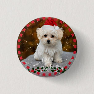 Malteser Weihnachtswelpe Button
