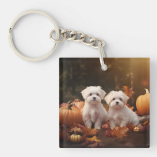 Malteser Welpe Herbstfreude Kürbis Schlüsselanhänger