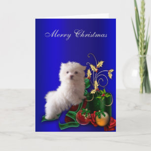 Malteser-Welpe-Hund-Weihnachten Feiertagskarte
