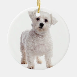 Malteser Welpe Keramik Ornament